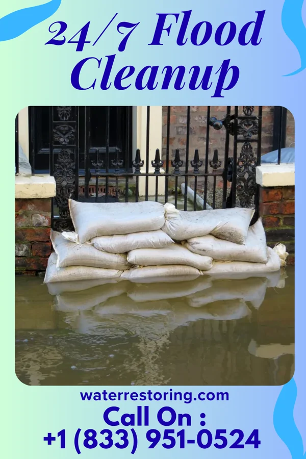 24/7 Flood Cleanup in Pine Island, TX