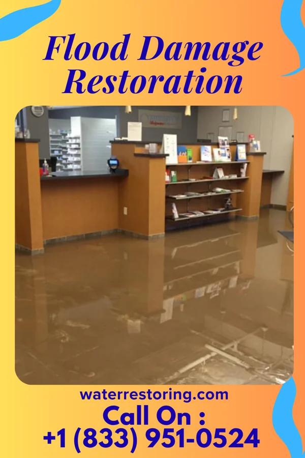 Flood Damage Restoration in Pine Island, TX