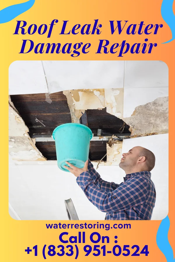 Roof Leak Water Damage Repair in Pine Island, TX